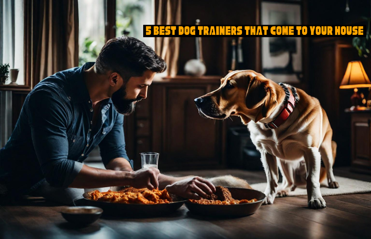 Order offers Dog Trainers That Come to Your House programs that are tailored to the individual dog. We come to you!