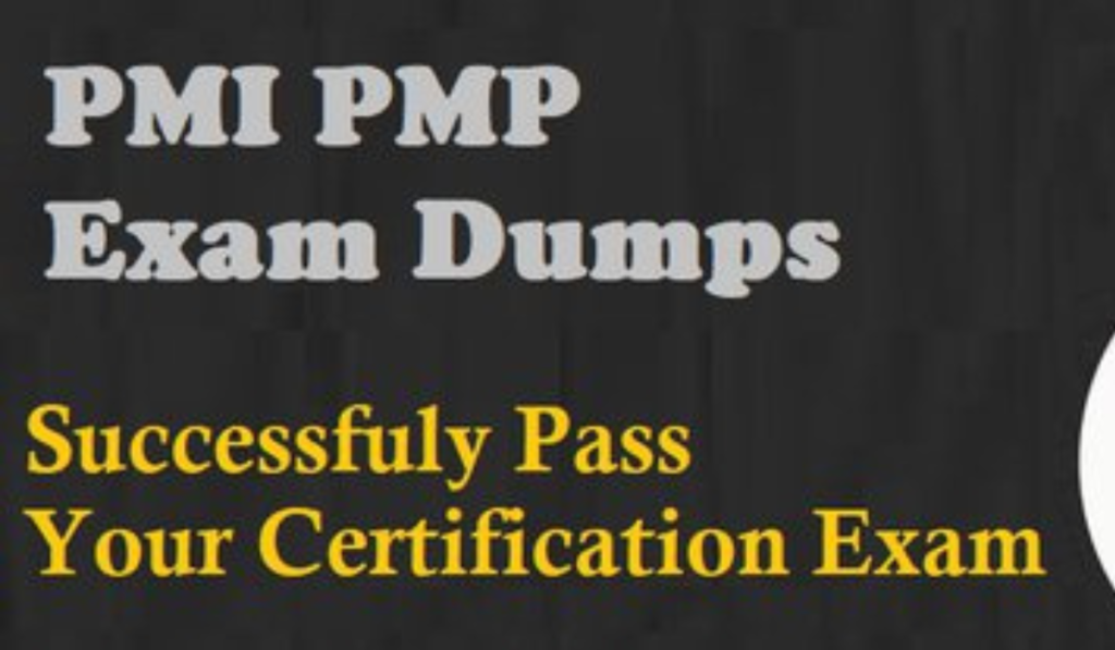 Why are PMP PDF dumps still beneficial for quick learning?